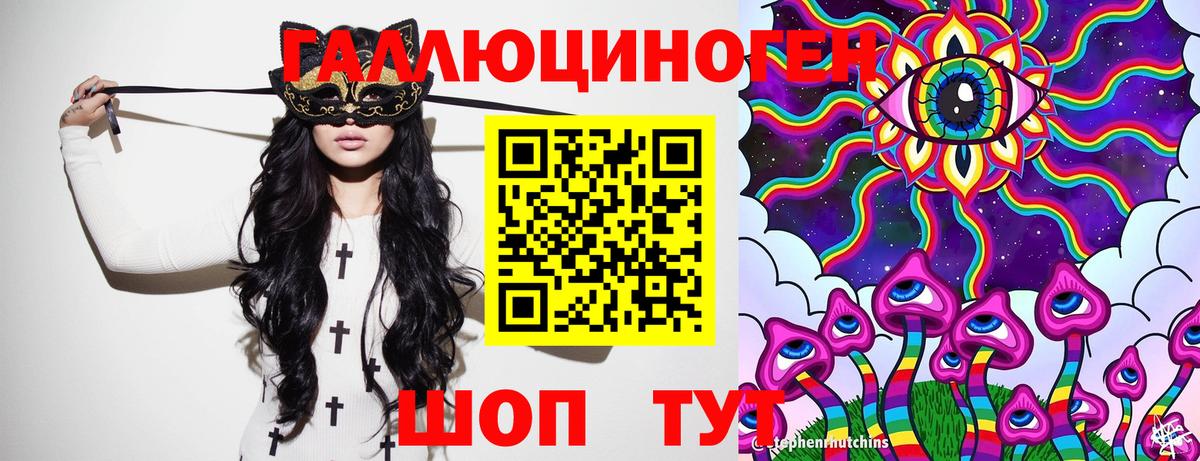 Псилоцибиновые грибы Psilocybine cubensis Лесной