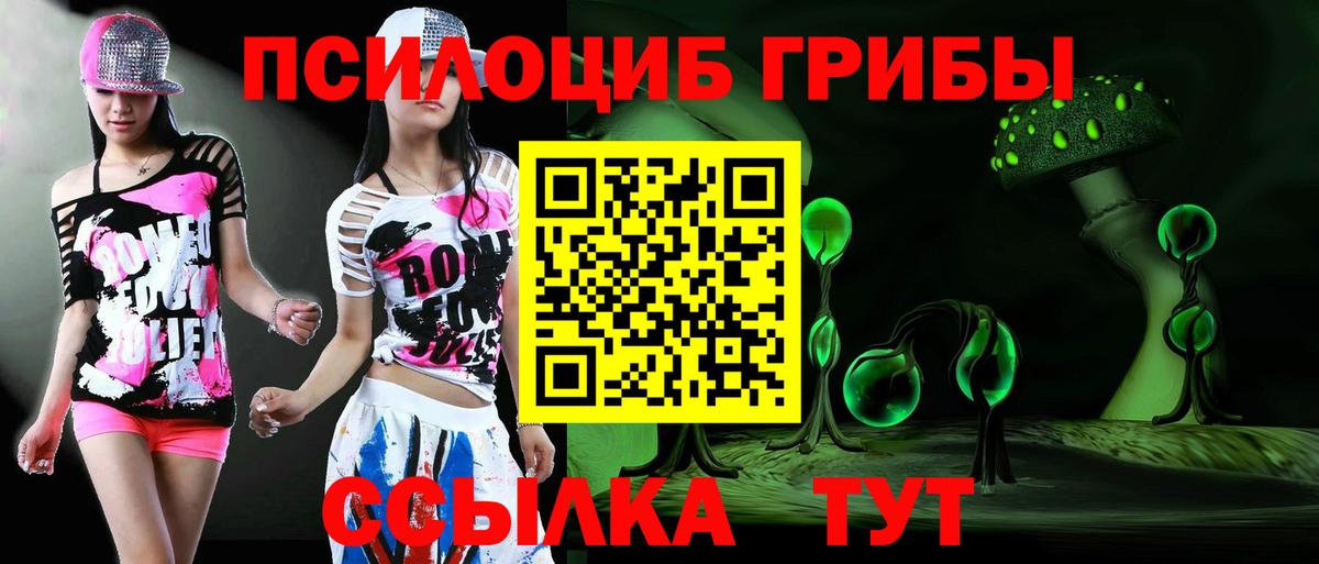 Галлюциногенные грибы прущие грибы  Вход с VPN  Лесной  Псилоцибиновые грибы Cubensis 