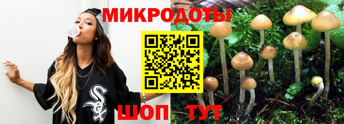 ГАШ Лесной
